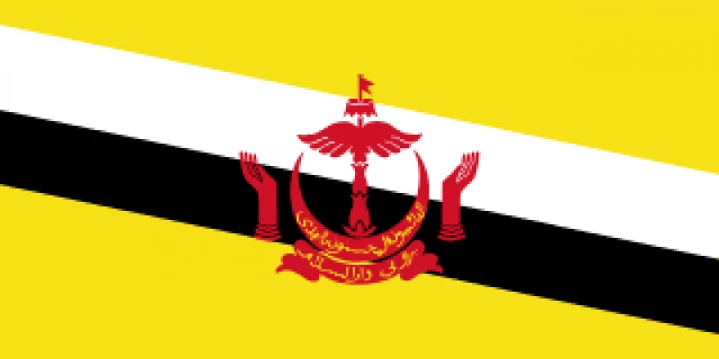 Brunei eSIM (Data + Voice + SMS)