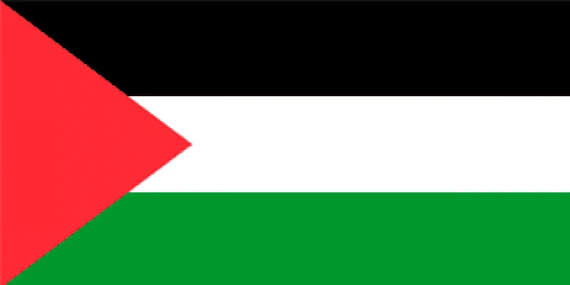 Palestine eSIM (Data Only)