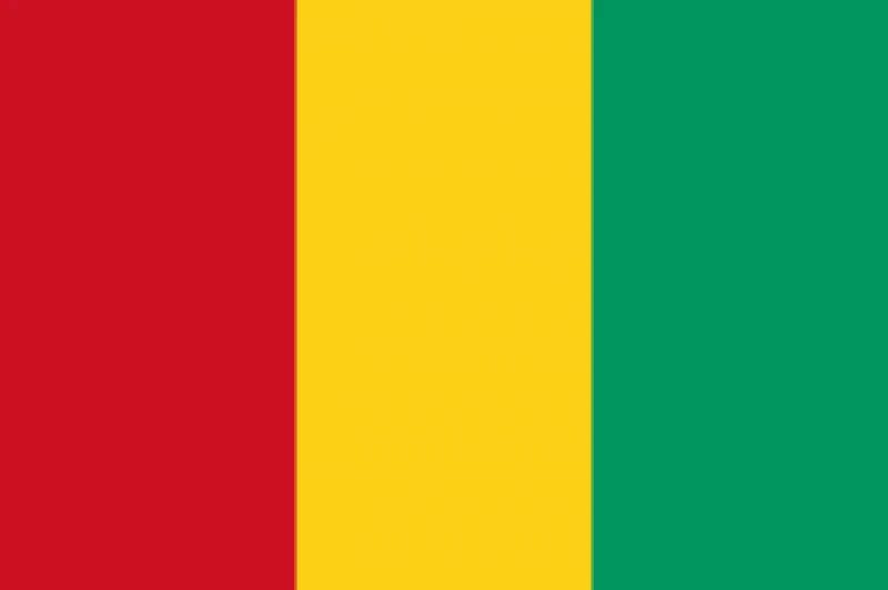 Guinea eSIM (Data Only)